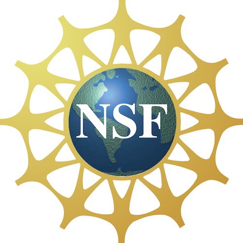 NSF graduate award