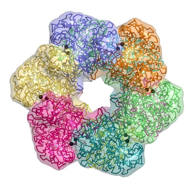 GS protein structure